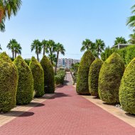 Reventa - Apartamentos -
Orihuela Costa - Playa Flamenca