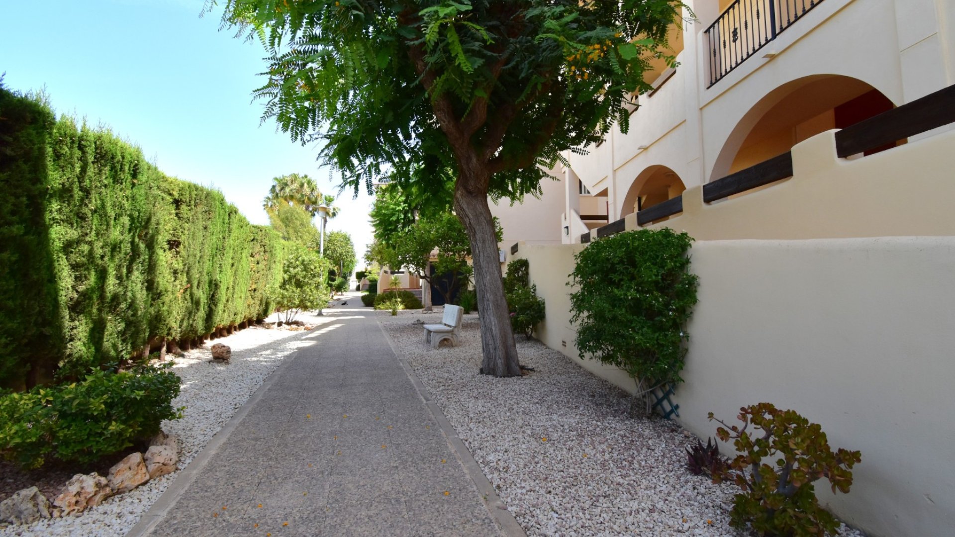 Reventa - Apartamentos -
Orihuela Costa - Playa Flamenca