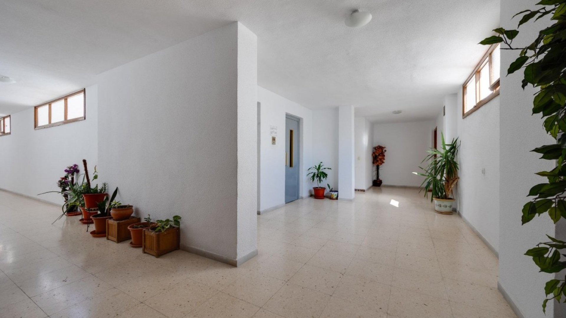 Reventa - Apartamentos -
Playa del Acequion