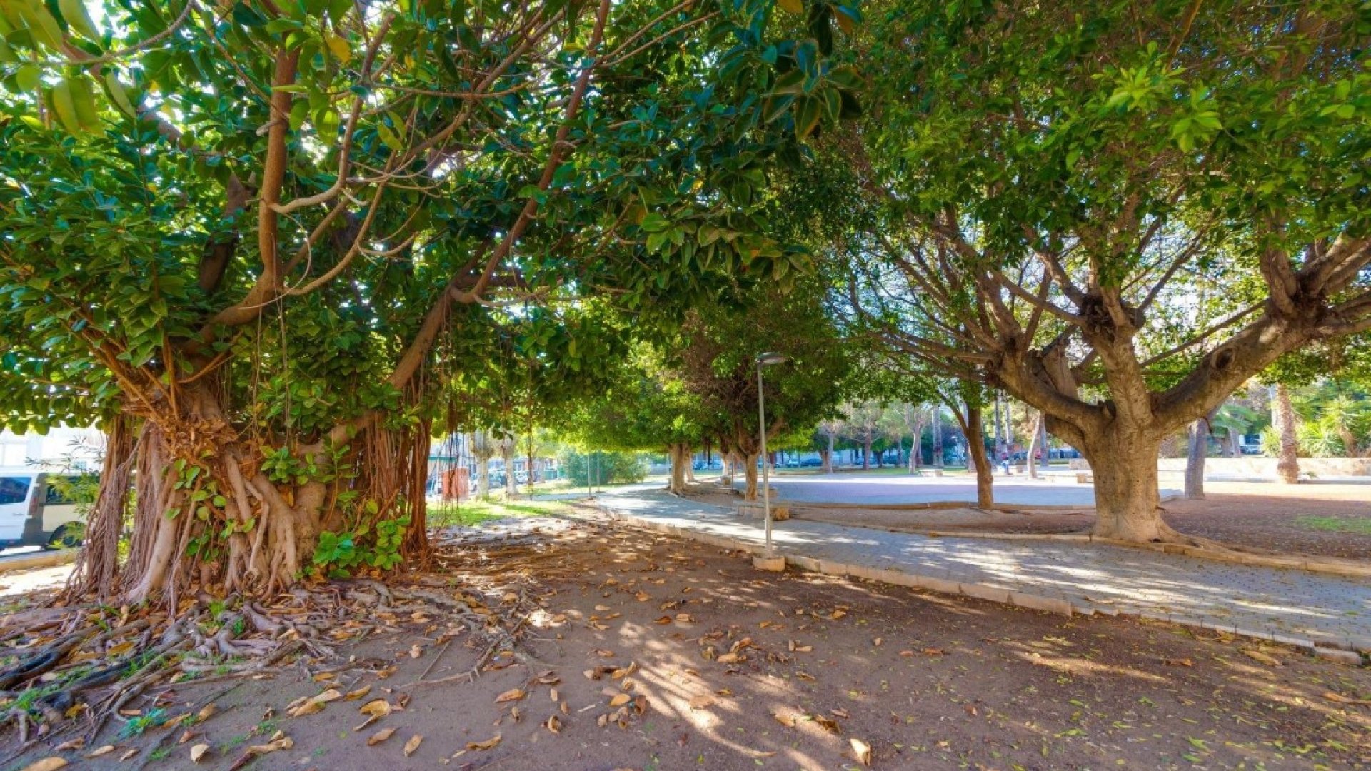 Reventa - Apartamentos -
Playa del Acequion