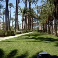 Reventa - Apartamentos -
Santa Pola - Center