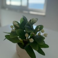 Reventa - Apartamentos -
Santa Pola