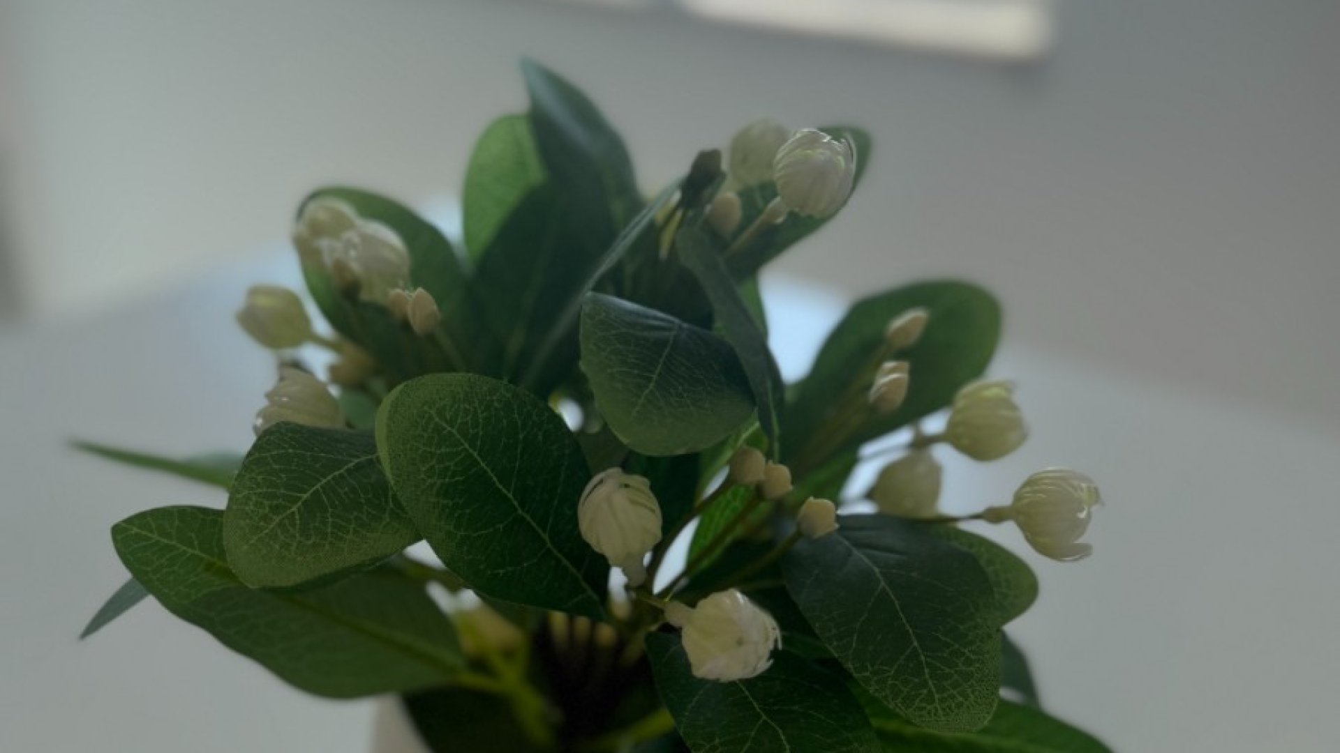 Reventa - Apartamentos -
Santa Pola