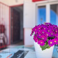 Reventa - Apartamentos -
Torrevieja - Cabo Cervera