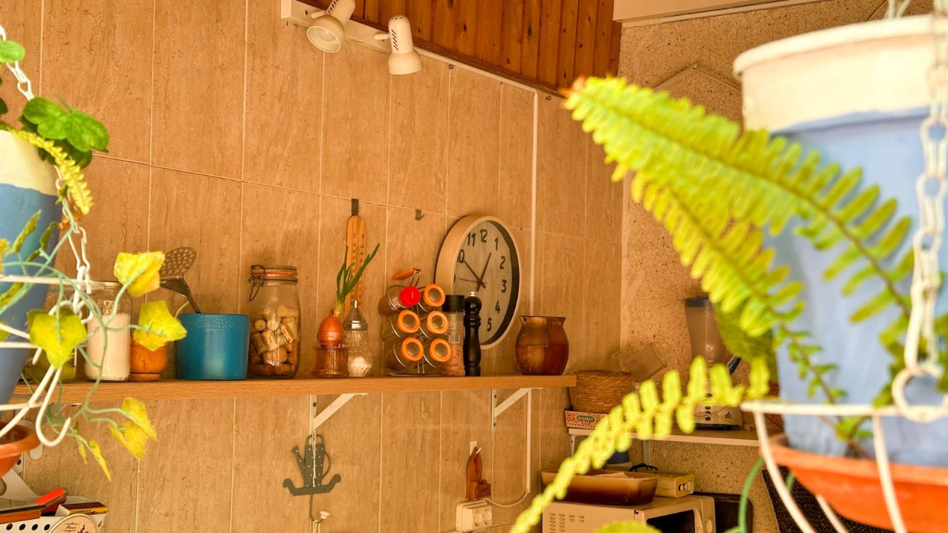 Reventa - Apartamentos -
Torrevieja - Center