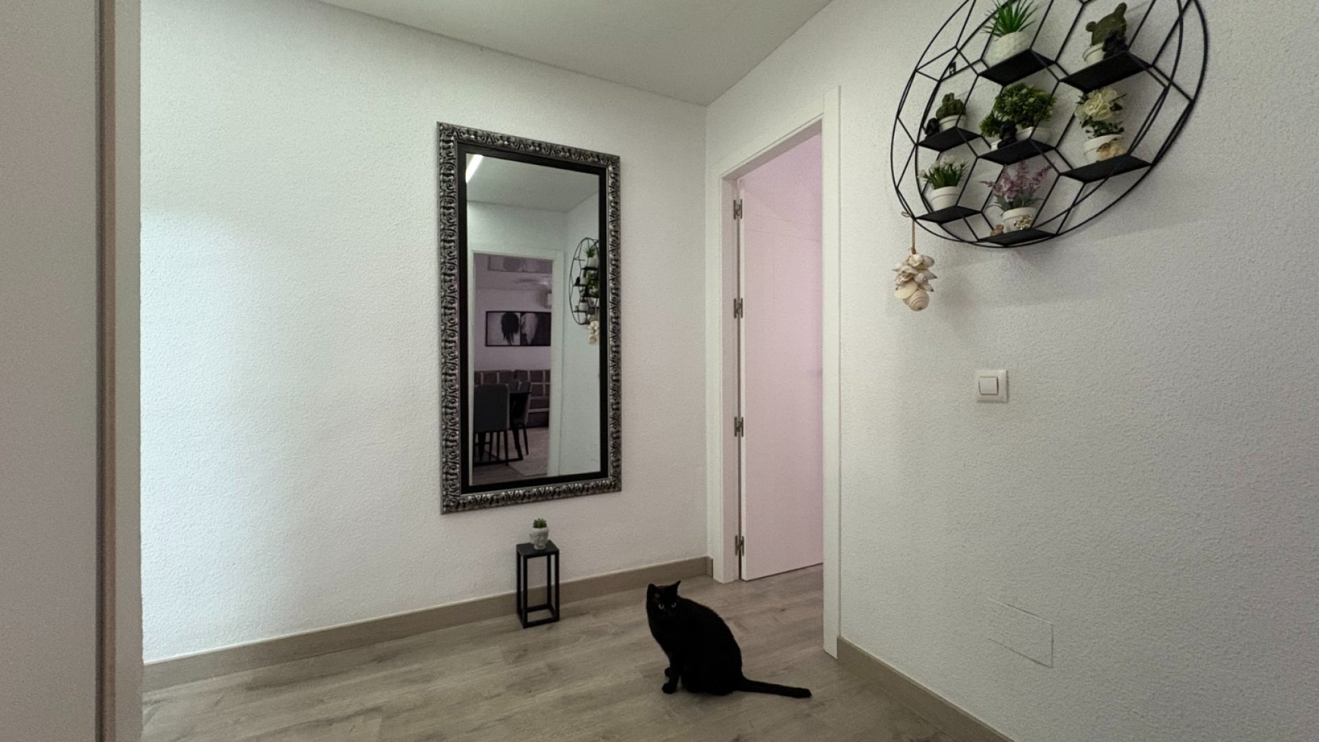 Reventa - Apartamentos -
Torrevieja - Center