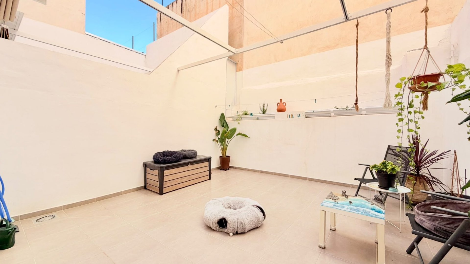 Reventa - Apartamentos -
Torrevieja - Center