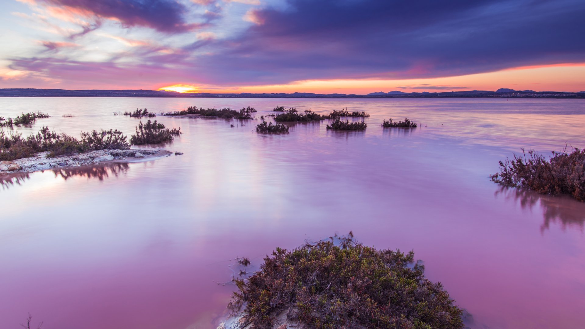 Reventa - Apartamentos -
Torrevieja - La Mata