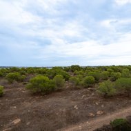 Reventa - Apartamentos -
Torrevieja - La Siesta