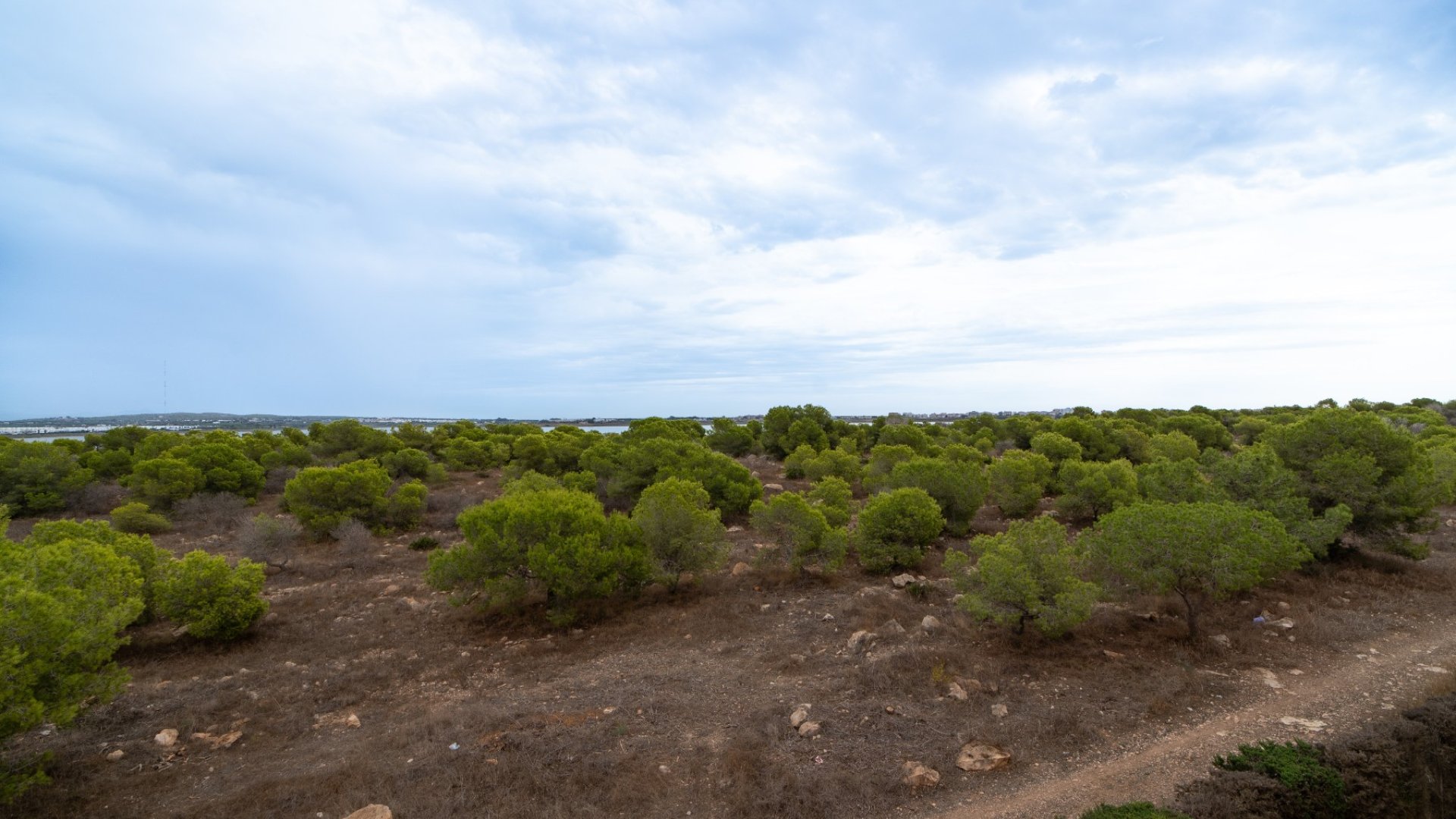 Reventa - Apartamentos -
Torrevieja - La Siesta