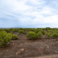 Reventa - Apartamentos -
Torrevieja - La Siesta