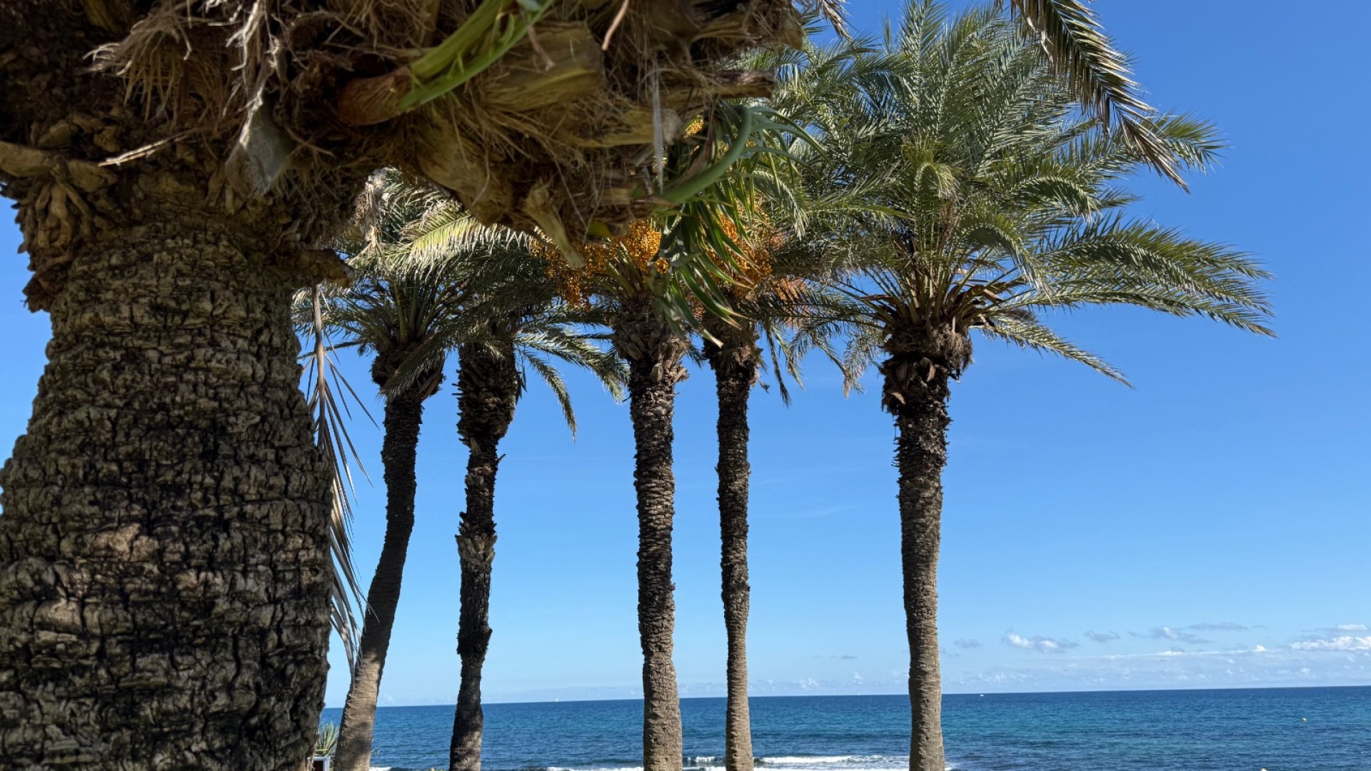 Reventa - Apartamentos -
Torrevieja - La veleta