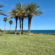 Reventa - Apartamentos -
Torrevieja - La veleta