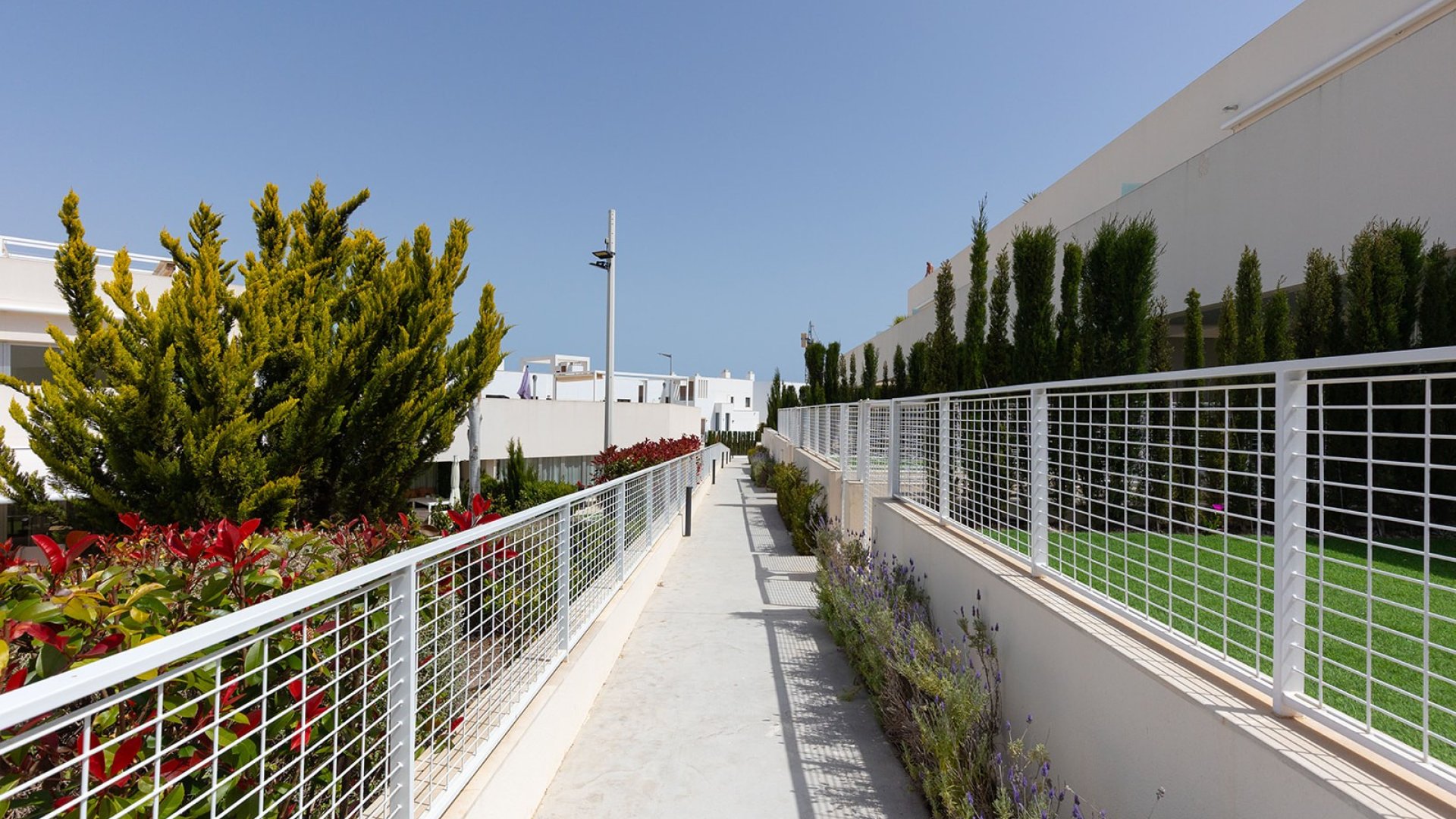 Reventa - Apartamentos -
Torrevieja - Los Balcones