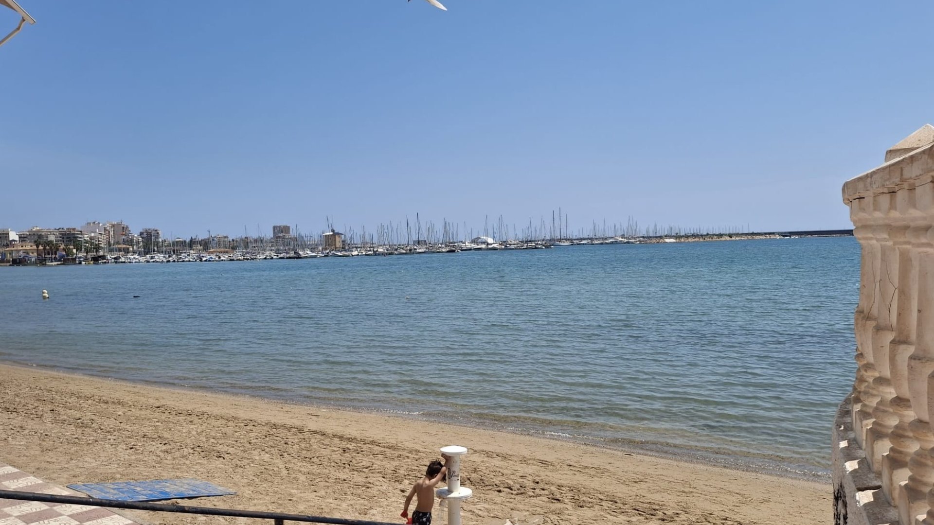 Reventa - Apartamentos -
Torrevieja - Playa Acequion