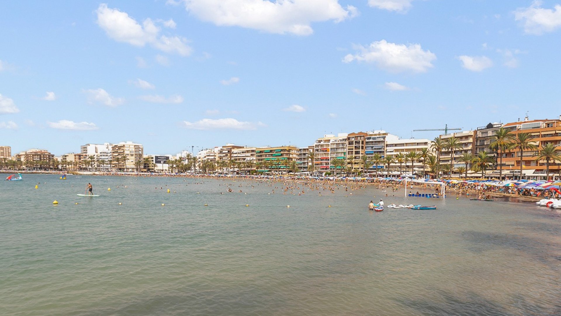 Reventa - Apartamentos -
Torrevieja - Playa del Cura