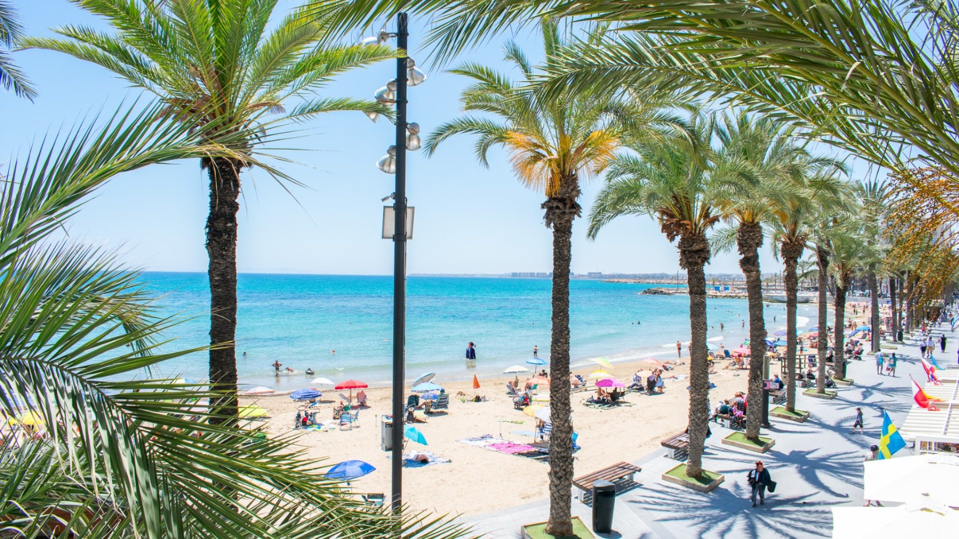Reventa - Apartamentos -
Torrevieja - Playa del Cura