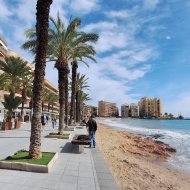 Reventa - Apartamentos -
Torrevieja - Playa Los Naufragos