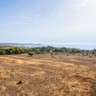 Reventa - Apartamentos -
Torrevieja - Punta Prima