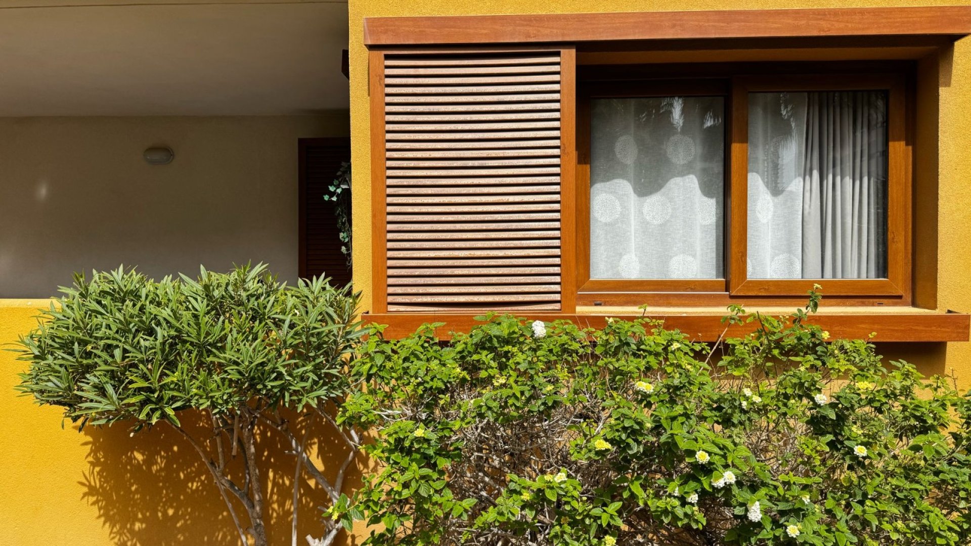 Reventa - Apartamentos -
Torrevieja - Punta Prima