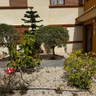 Reventa - Apartamentos -
Torrevieja - Punta Prima