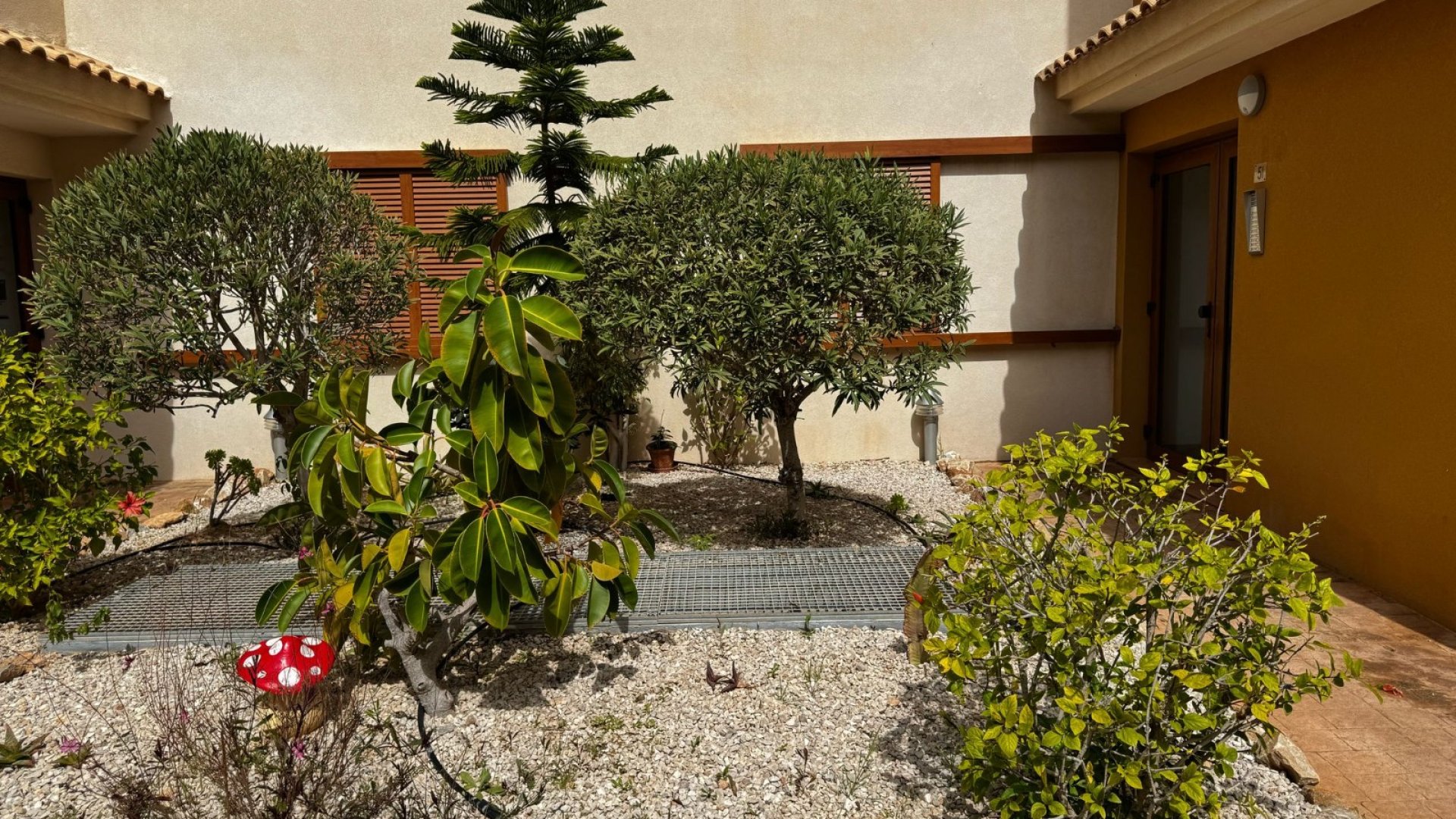 Reventa - Apartamentos -
Torrevieja - Punta Prima