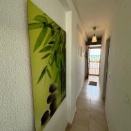 Reventa - Apartamentos -
Torrevieja - Torrevieja>Cabo Cervera