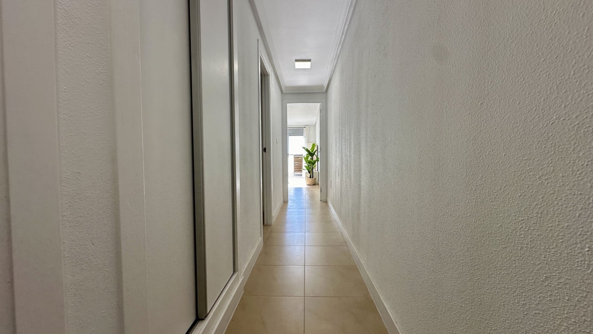 Reventa - Apartamentos -
Torrevieja