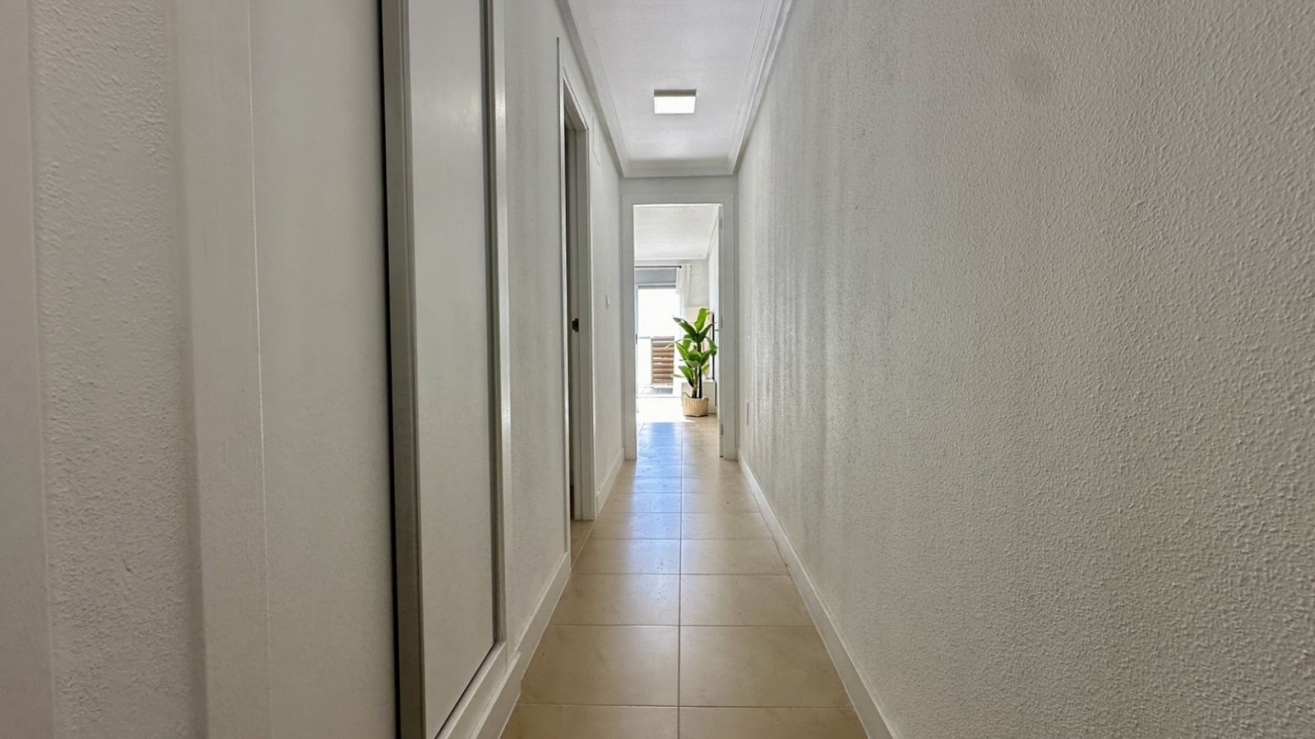 Reventa - Apartamentos -
Torrevieja