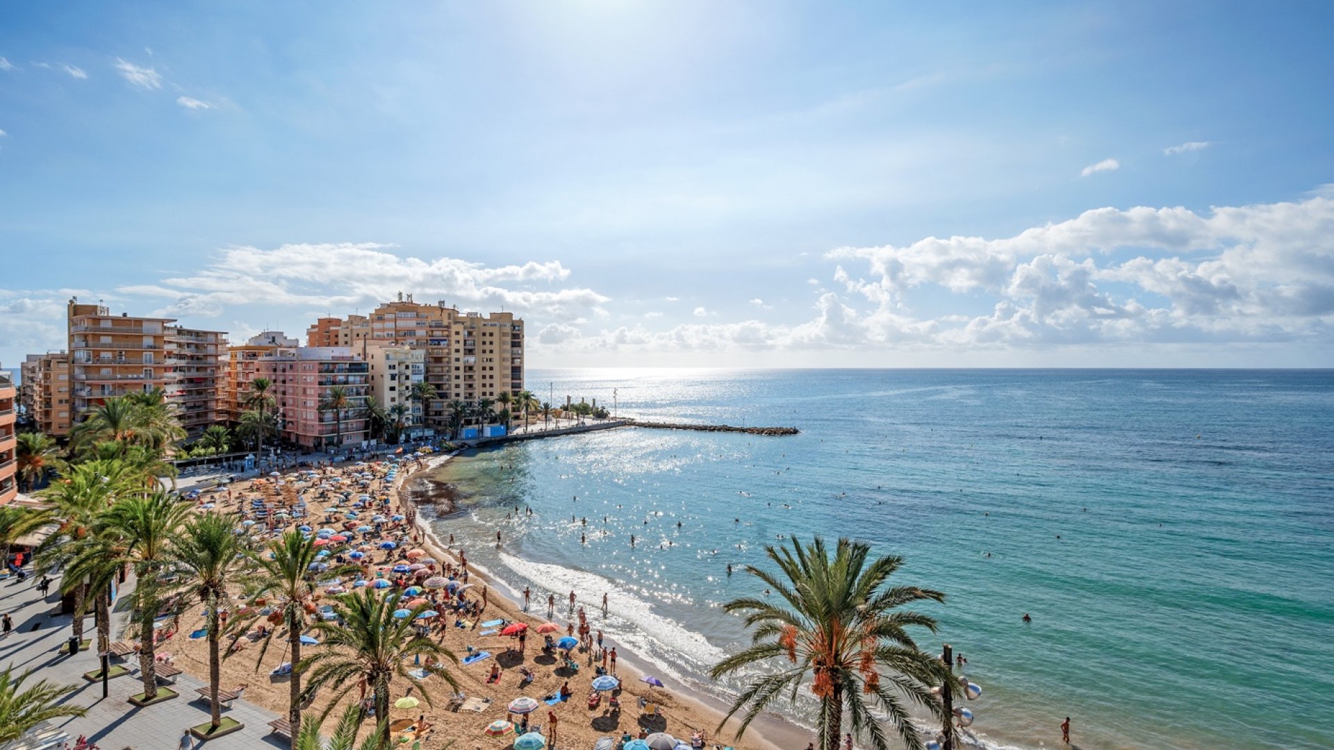 Reventa - Apartamentos -
Torrevieja