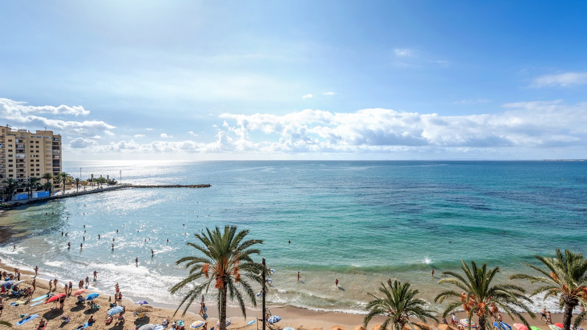 Reventa - Apartamentos -
Torrevieja