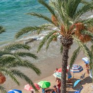 Reventa - Apartamentos -
Torrevieja