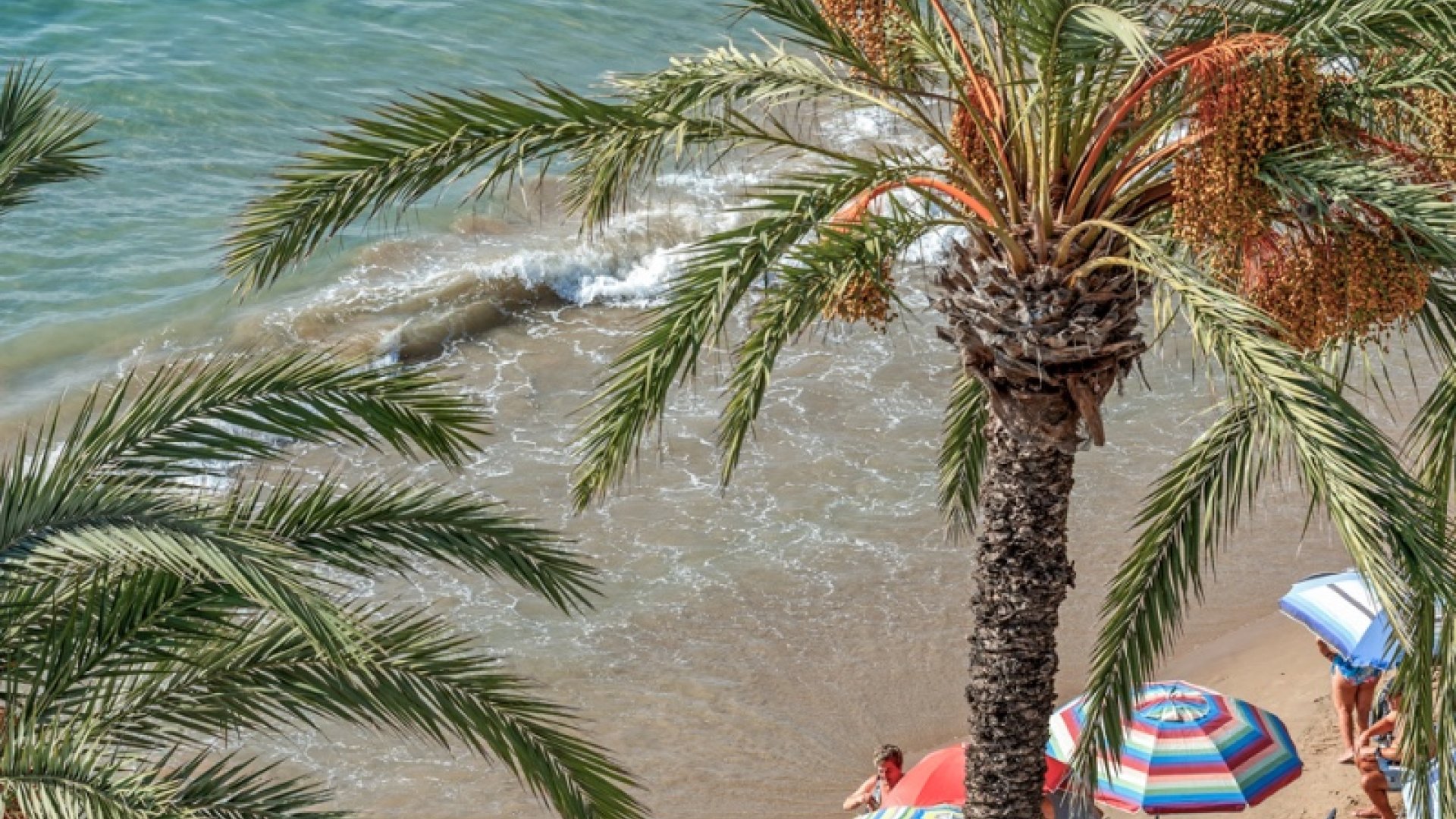 Reventa - Apartamentos -
Torrevieja