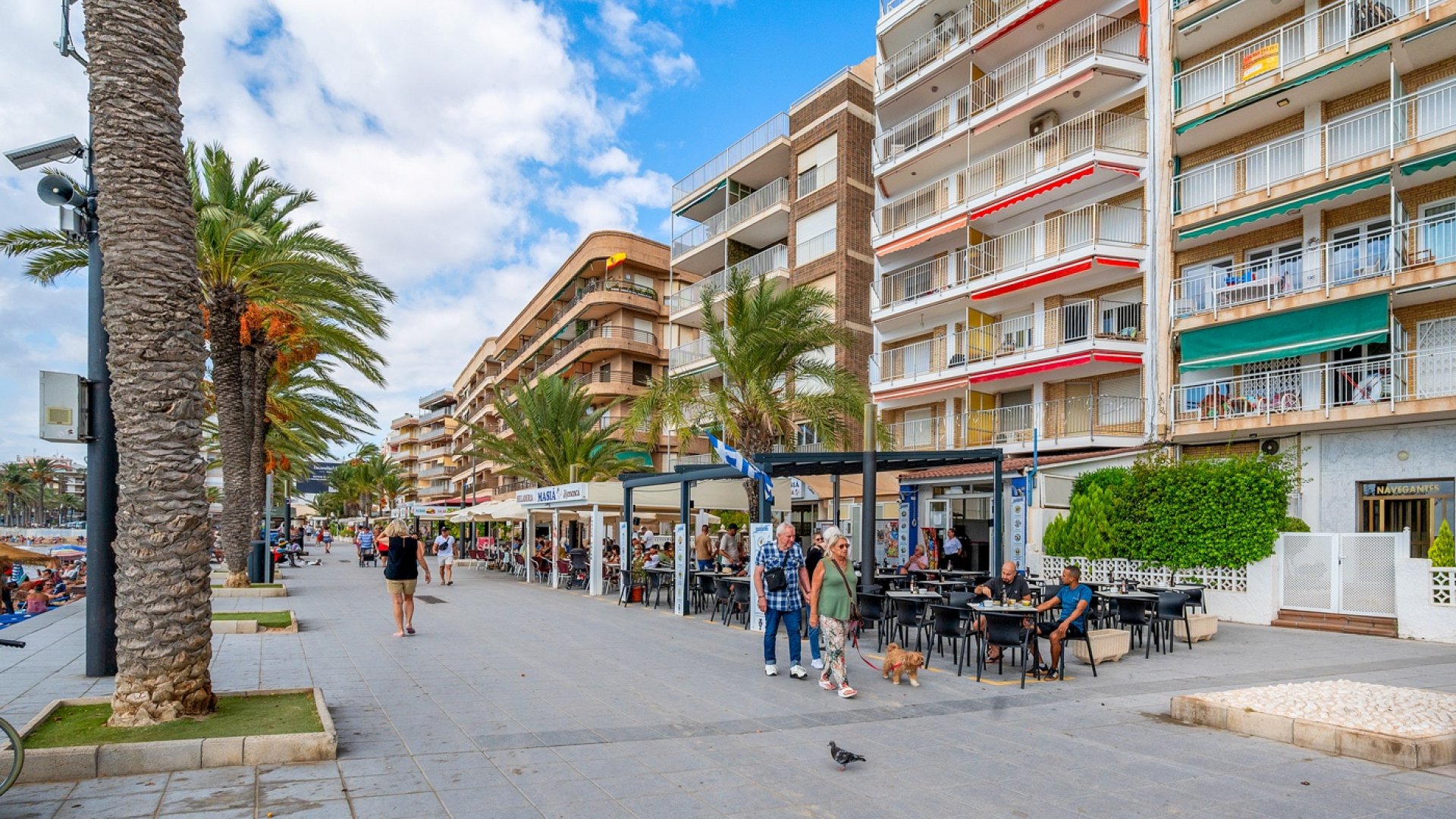 Reventa - Apartamentos -
Torrevieja