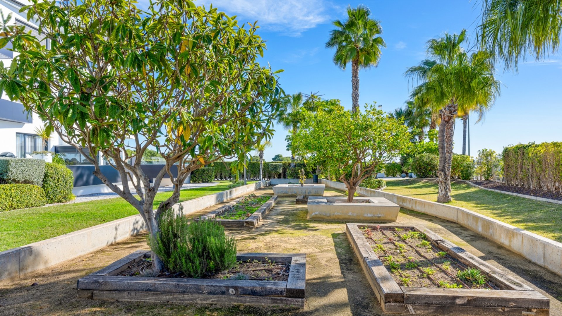 Reventa - Apartment / Flat * -
Orihuela Costa - Los Dolses