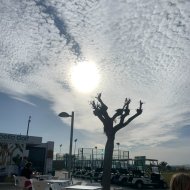 Reventa - Apartment Penthouse -
Entre Naranjos - Vistabella - Entre Naranjos