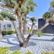 Reventa - Ático -
Orihuela Costa - Punta Prima