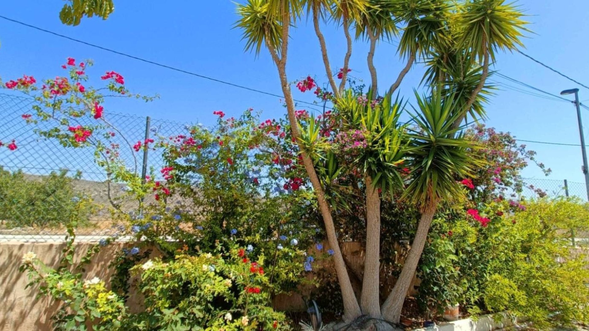 Reventa - Chalets -
Abanilla