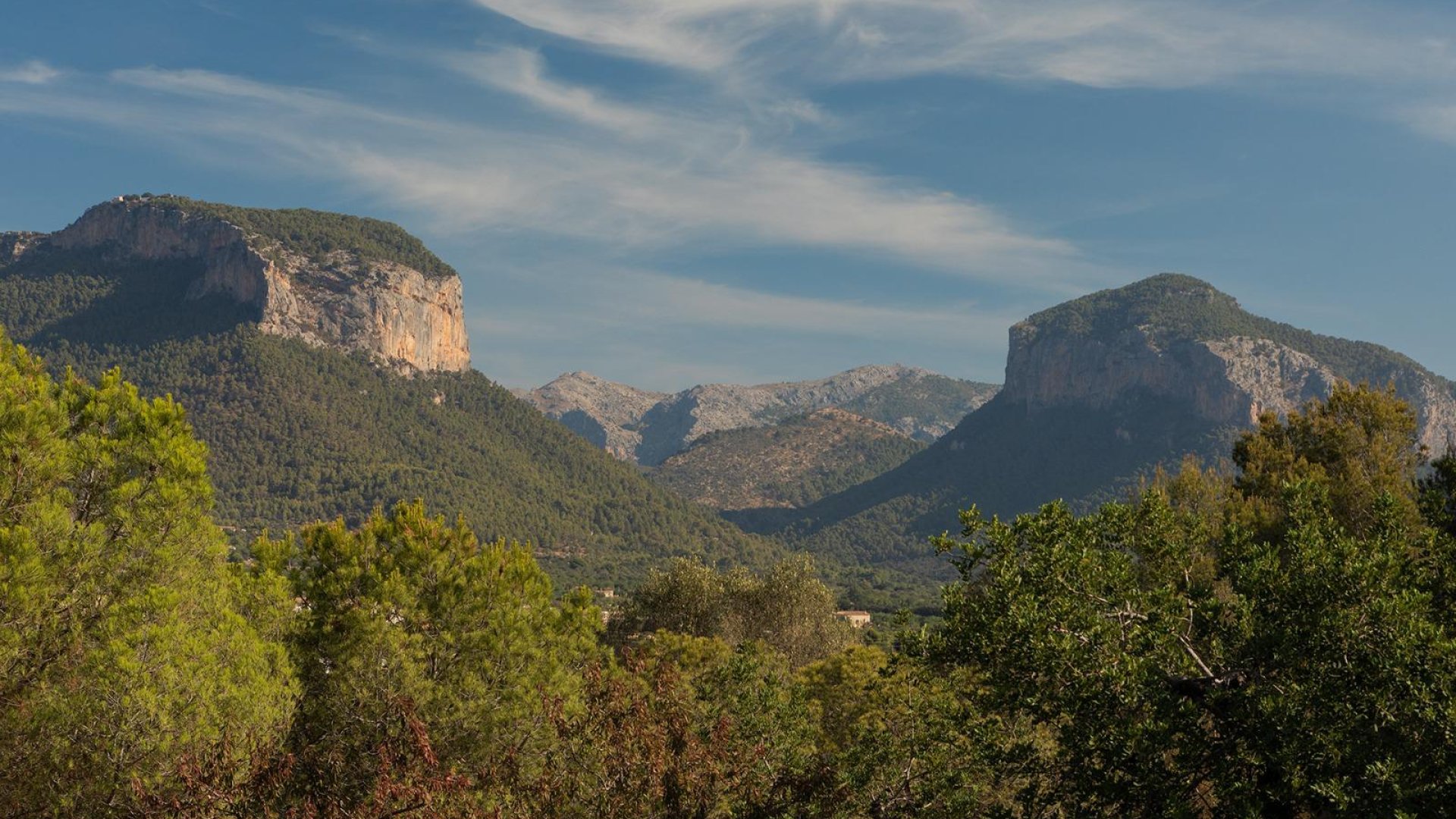 Reventa - Chalets -
Alaró - Alaró rural
