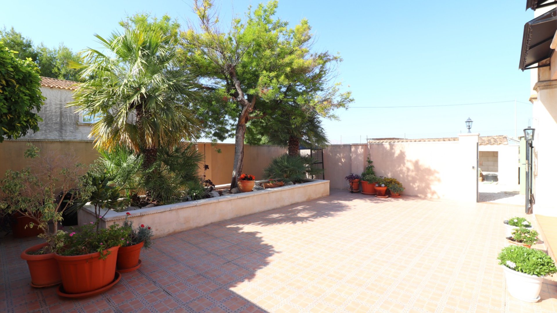 Reventa - Chalets -
Albatera - Albatera - Country