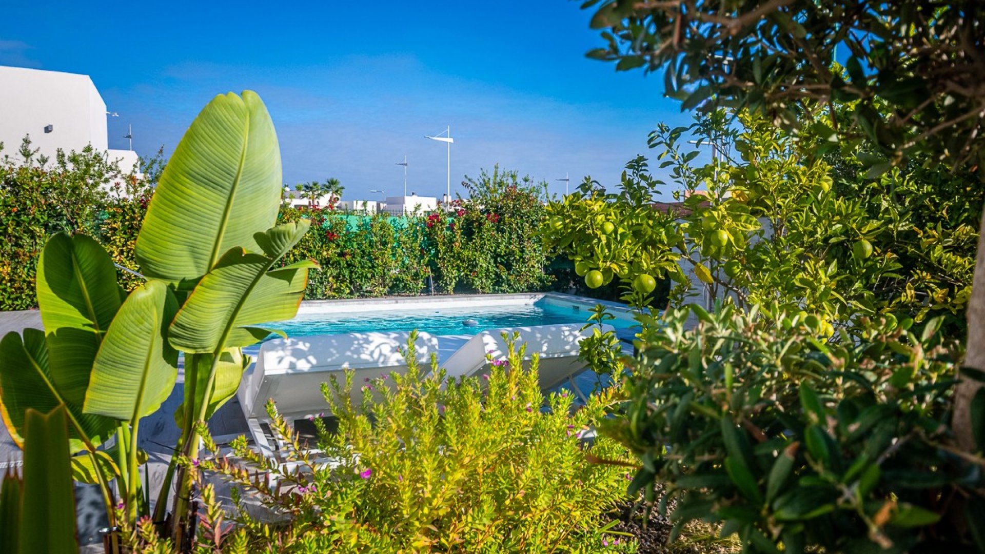 Reventa - Chalets -
Algorfa - LA FINCA GOLF / ALGORFA
