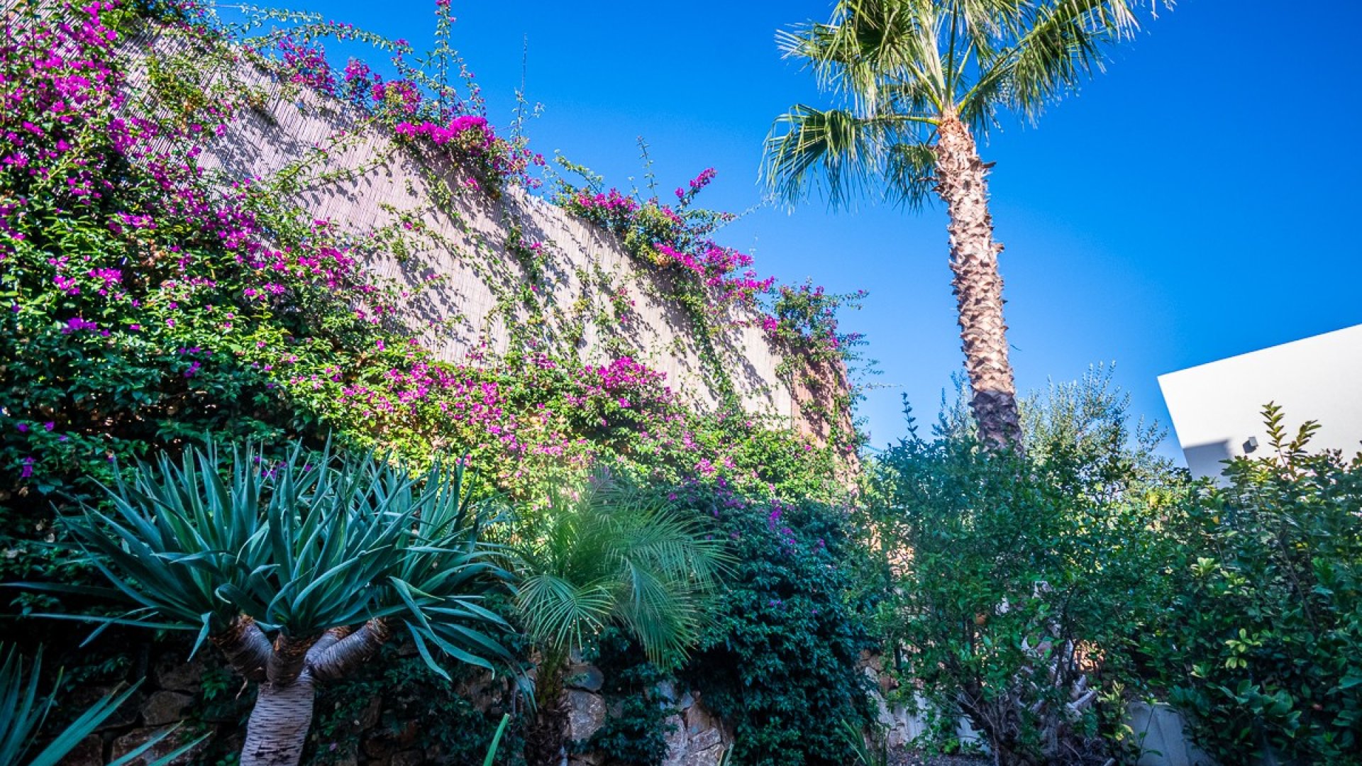 Reventa - Chalets -
Algorfa - LA FINCA GOLF / ALGORFA
