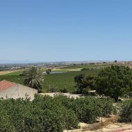 Reventa - Chalets -
Algorfa - Lomas de La Juliana