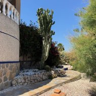 Reventa - Chalets -
Algorfa - Lomas de La Juliana