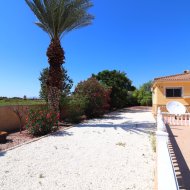 Reventa - Chalets -
Catral