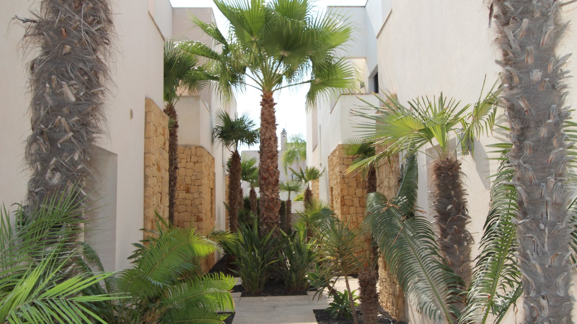 Reventa - Chalets -
Ciudad Quesada - Doña Pepa