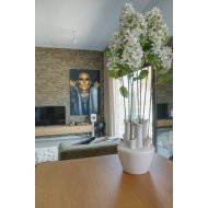 Reventa - Chalets -
Ciudad Quesada - La Marquesa Golf