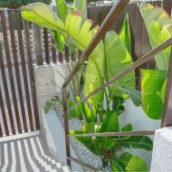 Reventa - Chalets -
Ciudad Quesada - La Marquesa Golf