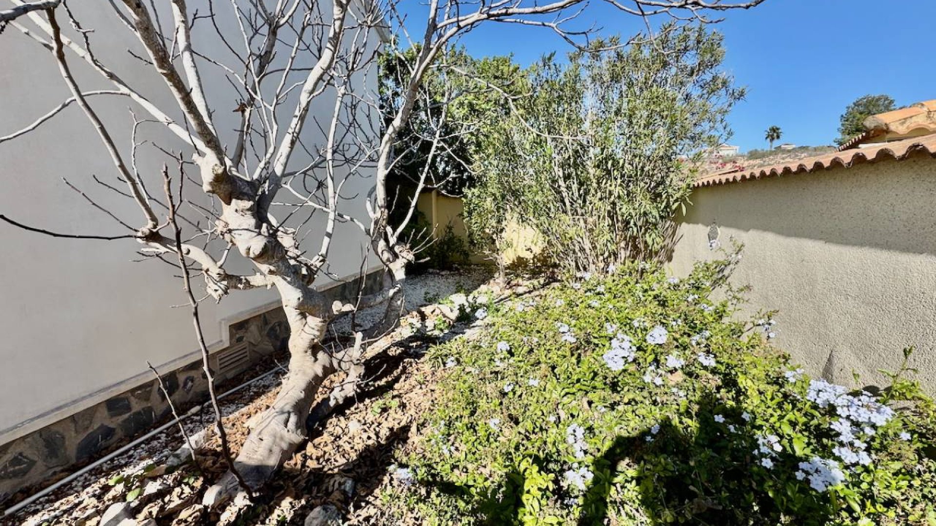 Reventa - Chalets -
Ciudad Quesada - Lo Pepin