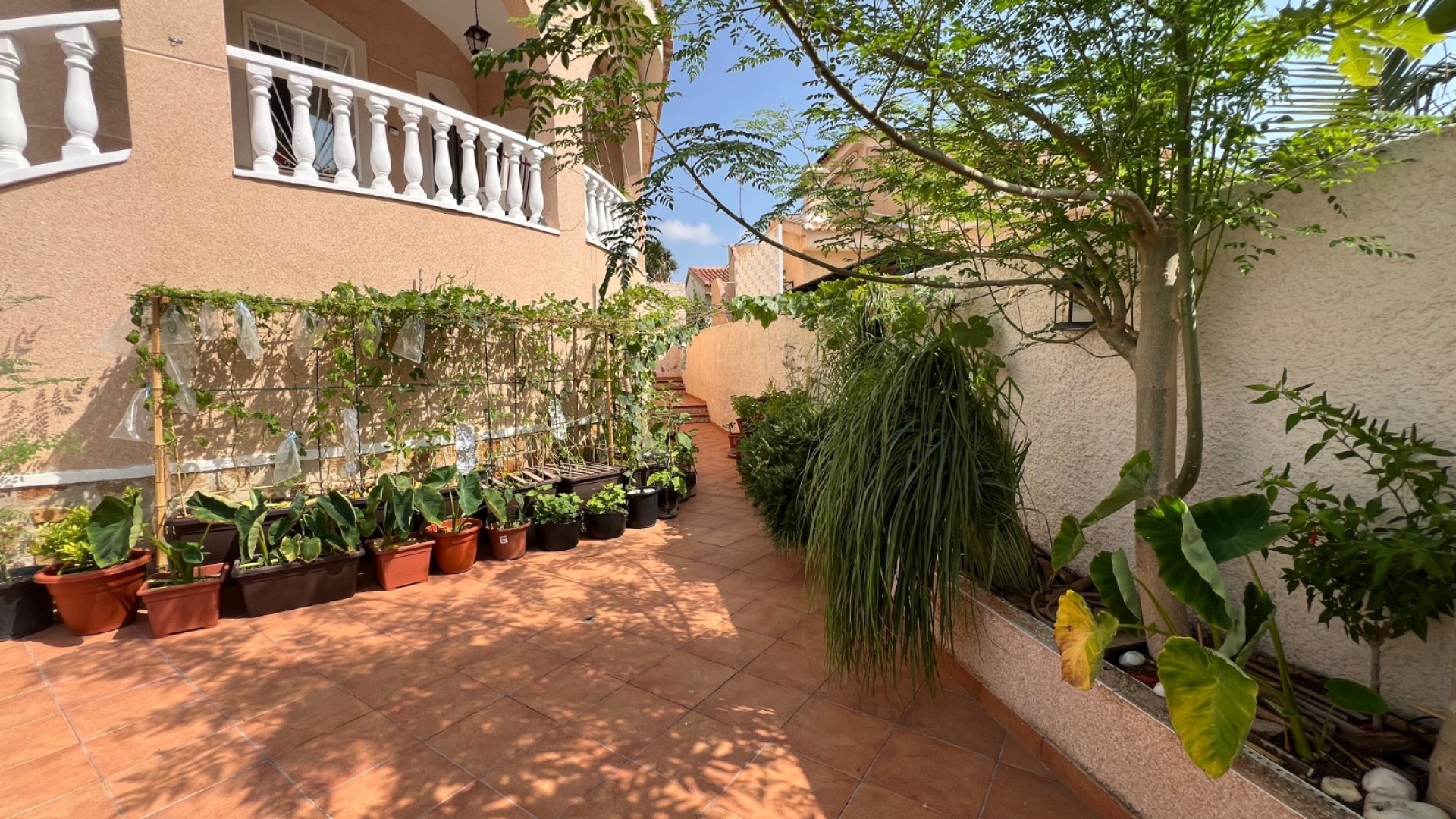 Reventa - Chalets -
Ciudad Quesada